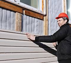 Best Custom Trim and Detailing for Siding  in Vermillion, SD